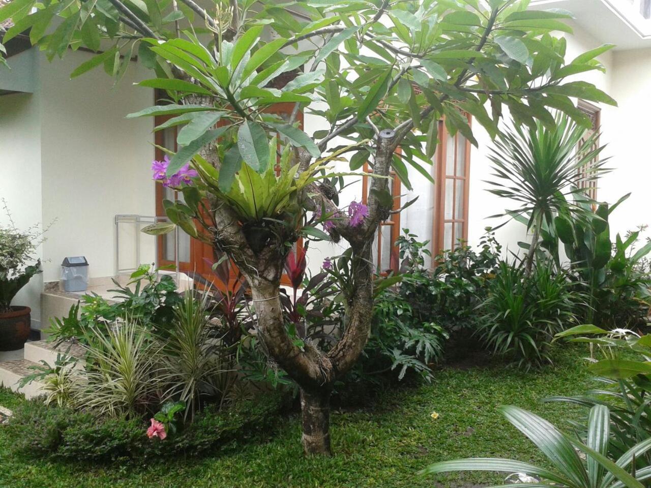Jepun Bali Homestay Sanur Exteriör bild